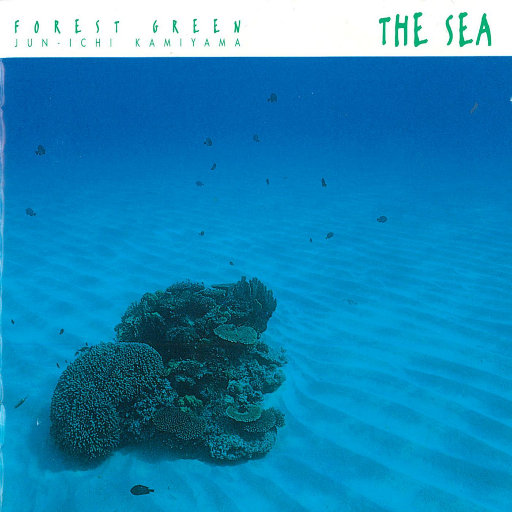 国产一级A片免费看
